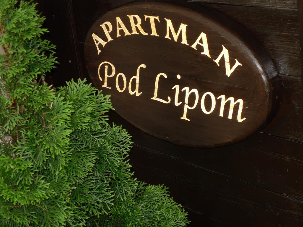 Apartment Pod Lipom Roč Camera foto